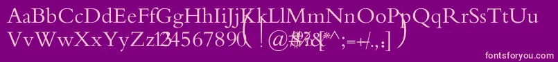 MotkenAlRafidainArt Font – Pink Fonts on Purple Background