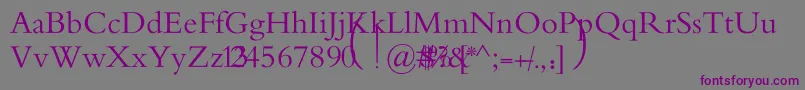 MotkenAlRafidainArt Font – Purple Fonts on Gray Background