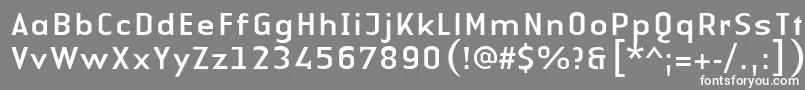 LinotypeAuthenticSansRegular Font – White Fonts on Gray Background