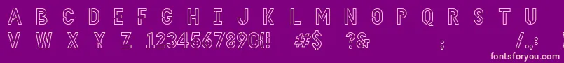 HellodenverdisplayregularV1.6 Font – Pink Fonts on Purple Background