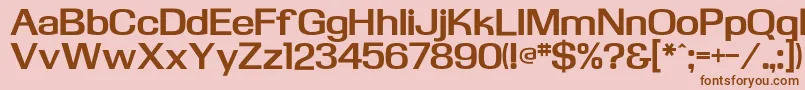 KasseflfBold Font – Brown Fonts on Pink Background