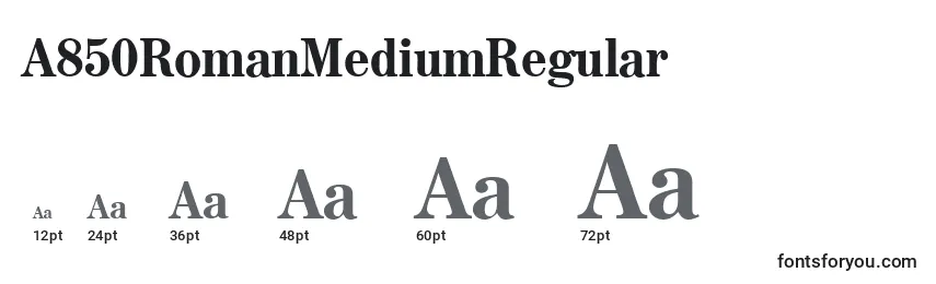 A850RomanMediumRegular Font Sizes