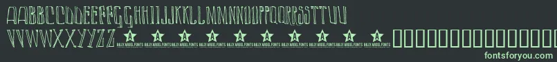 Lazyday ffy Font – Green Fonts on Black Background