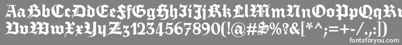 フォントFette Trump Deutsch – 灰色の背景に白い文字