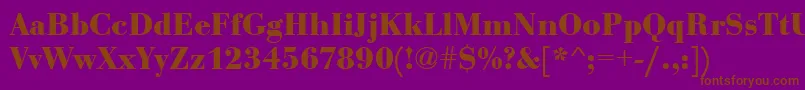 EurobodtBold Font – Brown Fonts on Purple Background