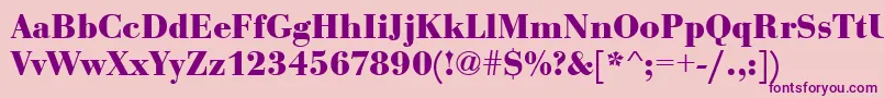 EurobodtBold Font – Purple Fonts on Pink Background
