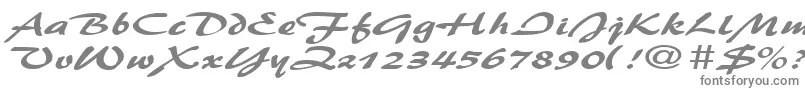 BrushflashexpandedRegular Font – Gray Fonts on White Background
