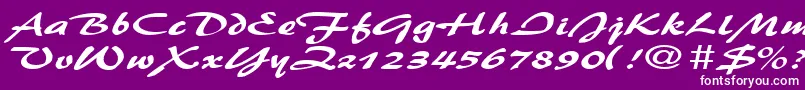 BrushflashexpandedRegular Font – White Fonts on Purple Background