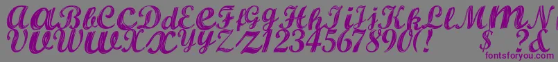 AlburaRegular Font – Purple Fonts on Gray Background