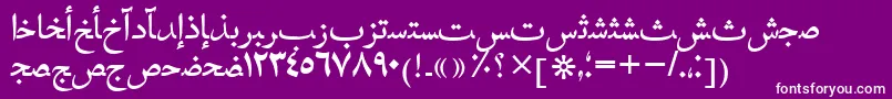 Hafizarabictt Font – White Fonts on Purple Background