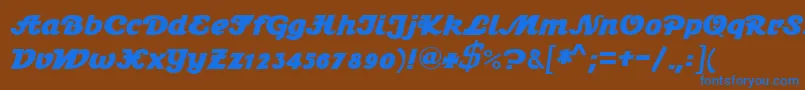 Stein1BoldDb Font – Blue Fonts on Brown Background