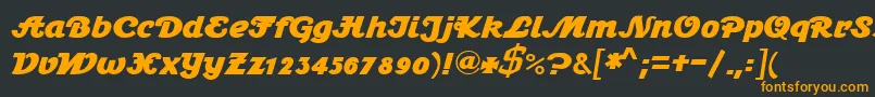 Stein1BoldDb Font – Orange Fonts on Black Background