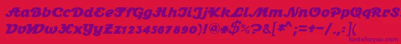 Stein1BoldDb Font – Purple Fonts on Red Background