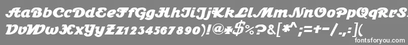 Stein1BoldDb Font – White Fonts on Gray Background