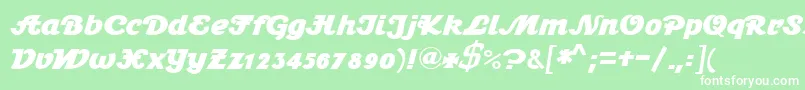 Stein1BoldDb Font – White Fonts on Green Background