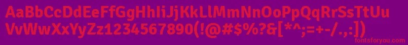 SignikaBold Font – Red Fonts on Purple Background