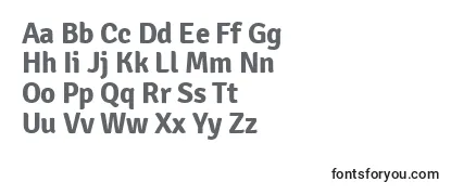 SignikaBold-fontti