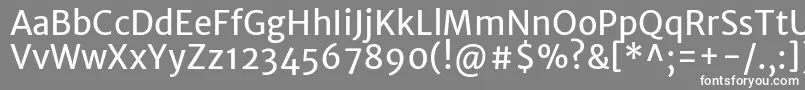MerriweathersansRegular Font – White Fonts on Gray Background