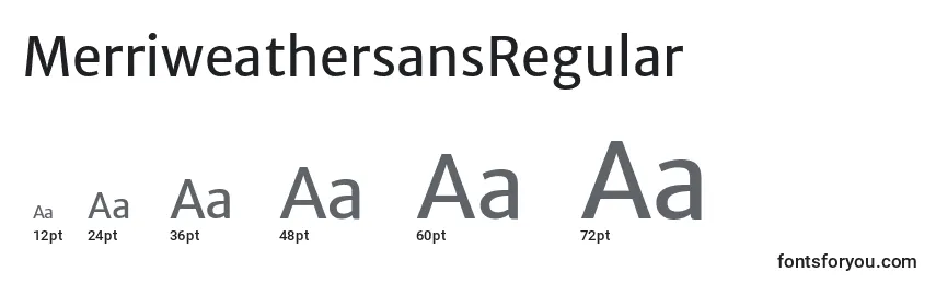 Размеры шрифта MerriweathersansRegular