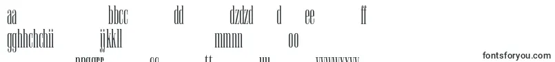 Camertonac-fontti – slovakian fontit