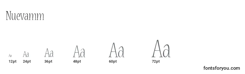 Nuevamm Font Sizes