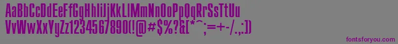 Шрифт Compactl – фиолетовые шрифты на сером фоне