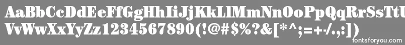 フォントCenturystdUltracondensed – 灰色の背景に白い文字