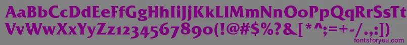 FremontOsfBold Font – Purple Fonts on Gray Background