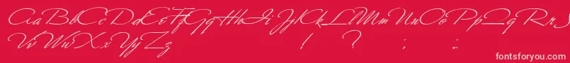 SoldierWilliamHolmes Font – Pink Fonts on Red Background