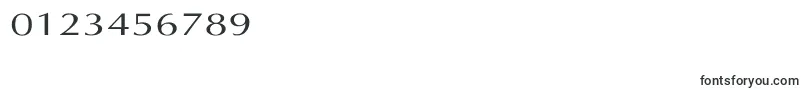 LastUniform Font – Fonts for Numbers and Digits