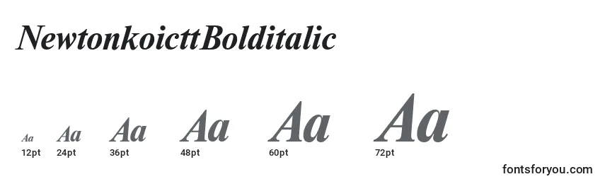 NewtonkoicttBolditalic Font Sizes