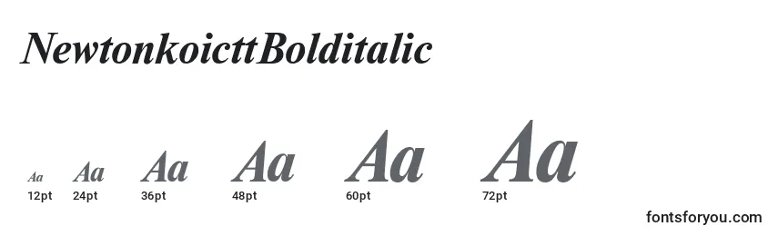 Größen der Schriftart NewtonkoicttBolditalic