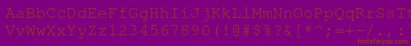 TexgyrecursorRegular Font – Brown Fonts on Purple Background