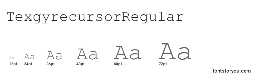 Размеры шрифта TexgyrecursorRegular