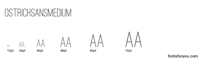 OstrichSansMedium Font Sizes