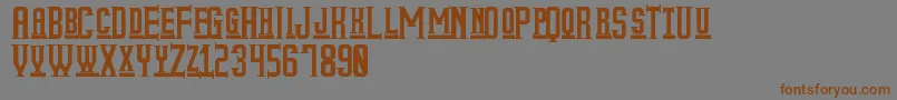MyOlderLifeSt-Schriftart – Braune Schriften auf grauem Hintergrund