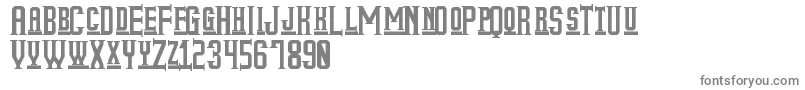 MyOlderLifeSt Font – Gray Fonts on White Background