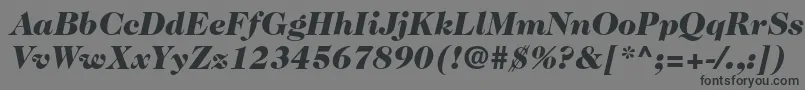 Czcionka Caslon224stdBlackitalic – czarne czcionki na szarym tle