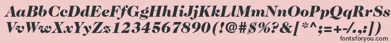 フォントCaslon224stdBlackitalic – ピンクの背景に黒い文字