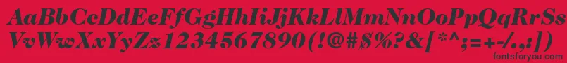 Caslon224stdBlackitalic Font – Black Fonts on Red Background