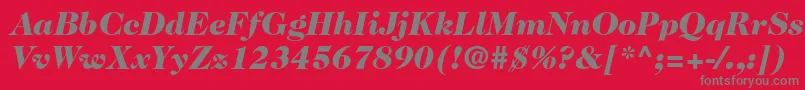 Police Caslon224stdBlackitalic – polices grises sur fond rouge