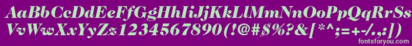 Fonte Caslon224stdBlackitalic – fontes verdes em um fundo violeta