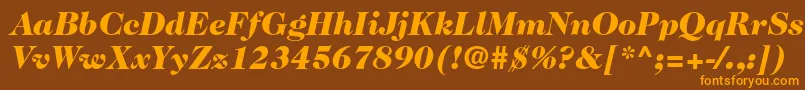 Caslon224stdBlackitalic Font – Orange Fonts on Brown Background