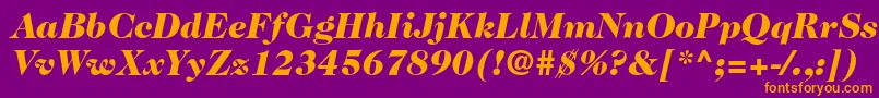 Caslon224stdBlackitalic Font – Orange Fonts on Purple Background