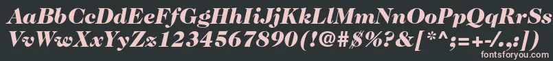 Шрифт Caslon224stdBlackitalic – розовые шрифты на чёрном фоне