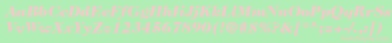 Caslon224stdBlackitalic Font – Pink Fonts on Green Background