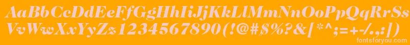 Caslon224stdBlackitalic Font – Pink Fonts on Orange Background
