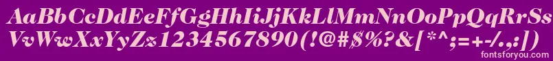 Fonte Caslon224stdBlackitalic – fontes rosa em um fundo violeta