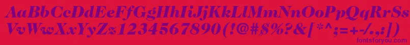 Caslon224stdBlackitalic-Schriftart – Violette Schriften auf rotem Hintergrund