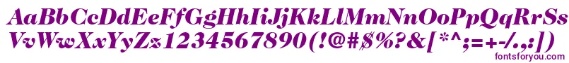 Caslon224stdBlackitalic-fontti – violetit fontit valkoisella taustalla